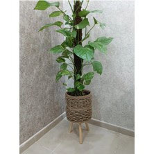 Halat Saksı ahşap saksı bambu saksı hasır saksı
