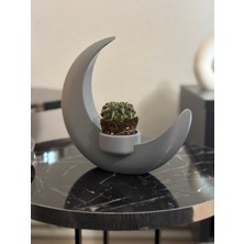 Ay Şeklinde Çok Amaçlı Dekoratif Obje Mumluk & Mini Saksı