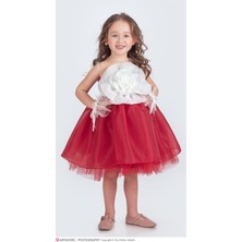 Kokoş Bebe Gül ve Tül Bileklik Detaylı Elbise