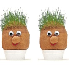 Çim Adam Seti 2 Adet Birden Çim Adam Eğitici Deney Çim Adam Yapım Seti