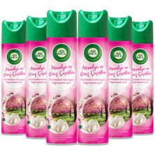 Air Wick Airwick Aerosol Manolya ve Kiraz Çiçeği Oda Kokusu (6 x 300 Ml)