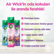Air Wick Airwick Aerosol Manolya ve Kiraz Çiçeği Oda Kokusu (6 x 300 Ml)