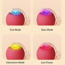 Xixishop Sghrbsc 360° Akıllı Otomatik Yuvarlanan Evcil Hayvan Topu Etkileşimli Çiğnemeli (Yurt Dışından)