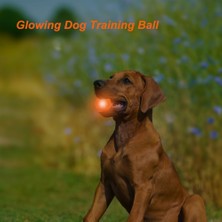 Xixishop LED Parlayan Köpek Dişleme Topu Yanıp Sönen Etkileşimli Oyuncak (Yurt Dışından)