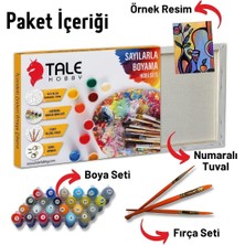 Tale Hobby Kişiye Özel Yapım Sayılarla Boyama Seti Tuvale Gerili 40X50CM