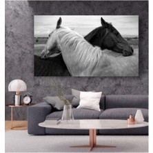 Siyah Beyaz At Temalı - Her Mekana Uygun Dekoratif Kanvas Tablo 40 x 60  cm
