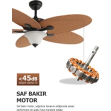 Dlc Carpınteıro Tavan Vantilatörü 132  cm
