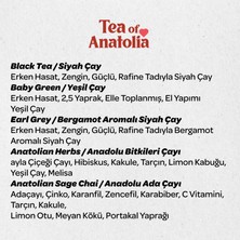 Lazika Tea Of Anatolia Bitki Çayı Seti