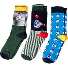 Design Erkek Soket Çorap Set Koleksiyon Özel Tasarım