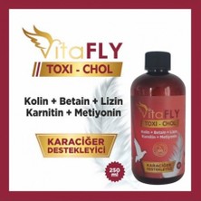 Vitafly Toxı-Chol 250 ml