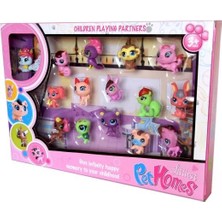 Çnr Kutuda 15Lİ Pet Homes