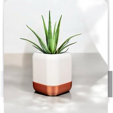 Akıllı Saksı Modern ve Şık