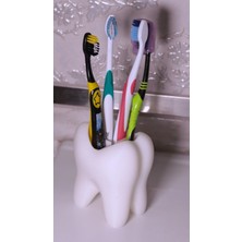 Beyaz Diş Şeklinde Diş Fırçası ve Diş Macunu Kutusu