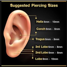 Begonia Accessories 316L Cerrahi Çelik, 8 mm Çap, 3 mm Toplu, 3 Adet Gümüş Kaplama Septum Piercing Set, Kaş, Dudak, Burun, Kulak Kullanımına Uygundur