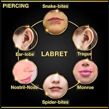 Begonia Accessories 316L Cerrahi Çelik, 8 mm Çap, 3 mm Toplu, 3 Adet Gümüş Kaplama Septum Piercing Set, Kaş, Dudak, Burun, Kulak Kullanımına Uygundur