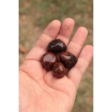 Sertifikalı Kahverengi Obsidyen Tambur Kütle Doğal Taş