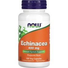 Now Echinacea Purpurea Root 400  mg 100 Veg Kapsül