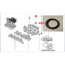 Emme Manifold Boğaz Contasi Tk. 4AD. Kng 1.9 Dzl. F8Q Dpmah