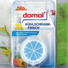 Domol Kokusuz Buzdolabı Deodorantı Kartuş ve Karbon Filtre 40 gr