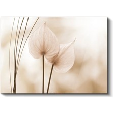 Anthurium Çiçekleri - Bej Tonlarda Minimalist Tasarım Kanvas Tablo