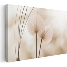 Anthurium Çiçekleri - Bej Tonlarda Minimalist Tasarım Kanvas Tablo