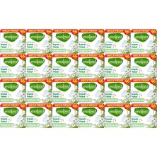Molped Pure&soft Hijyenik Ped Normal 1104 (24PK*46) Adet Mega Pk