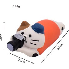 Fotoğraçı Kedi Mini Figür