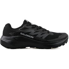 Salomon Alphaglide Gtx Erkek Koşu Ayakkabı L47802100 Renkli