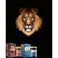 Vita Tua Ginsengli Tribulus Atom Bitkisel Set 480 gr 2 Adet