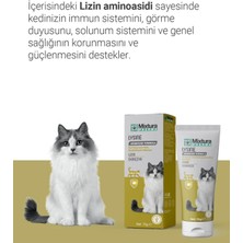 Lysine Kedi Üst Solunumm Yolu Destekleyici Macun - Kedi Maltı