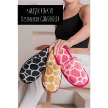 Slipcat 3’lü Kadın Ev Terliği Misafir Terliği Bohça Terliği