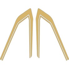 Cg Gold Depo Şeridi