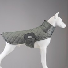 Air Puff Special Green Köpek Montu