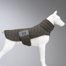Air Puff Mango Köpek Montu