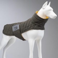 Air Puff Mango Köpek Montu