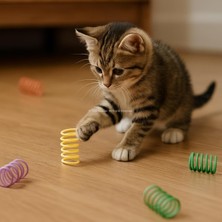 Karışık Renkli Spiral Yay Kedi Oyuncağı 10'lu Set - Esnek, Dayanıklı, Eğlenceli