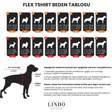 Flex Gingerman Küçük, Orta ve Büyük Irk Köpek Tshirt