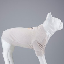 Flex Honey Pie Küçük ve Orta Irk Köpek Tshirt