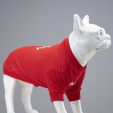 Flex Merry Christmas Küçük, Orta ve Büyük Irk Köpek Tshirt