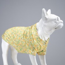 Cool Lime Küçük ve Orta Irk Köpek Gömleği