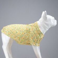 Cool Lime Küçük ve Orta Irk Köpek Gömleği