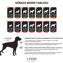 Cool Lime Küçük ve Orta Irk Köpek Gömleği