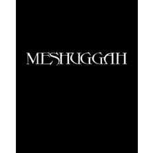 Meshuggah Logo Büyük Sırt Patch Yama