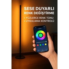 Metal Oturma Odası Salon Yatak Odası Mutfak Ambiyans Aydınlatma Lambader