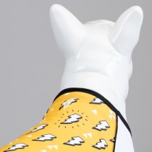 Flash Küçük, Orta ve Büyük Irk Köpek Tshirt