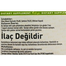 Afye Milk Thistle With Fumitory 60 Kapsül