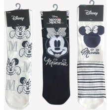 Desenli Lisanslı Renkli Minnie Mouse Kadın Çorap - 3 Lü
