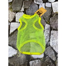 Bellorsi Filet-Shirt Yeşil Kedi Köpek Kıyafeti