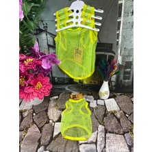 Bellorsi Filet-Shirt Yeşil Kedi Köpek Kıyafeti