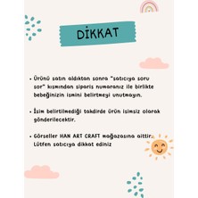 HanArt Craft Kişiye Özel Tasarlanabilir Uzay Kaplan Aslan Temalı Ahşap Mavi Hastane Bebek Odası Kapı Süsü
